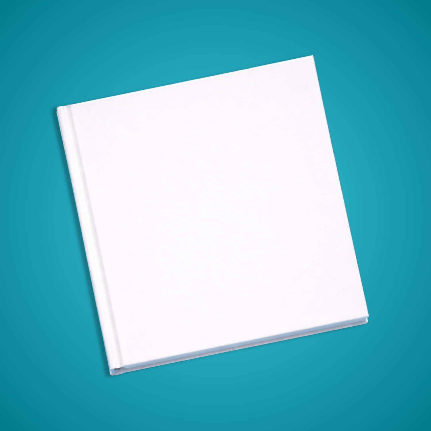 Large Blank Hardback Children&