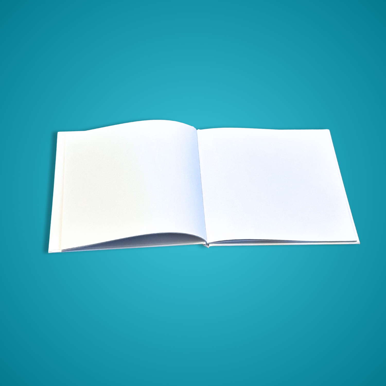 Large Blank Hardback Children&