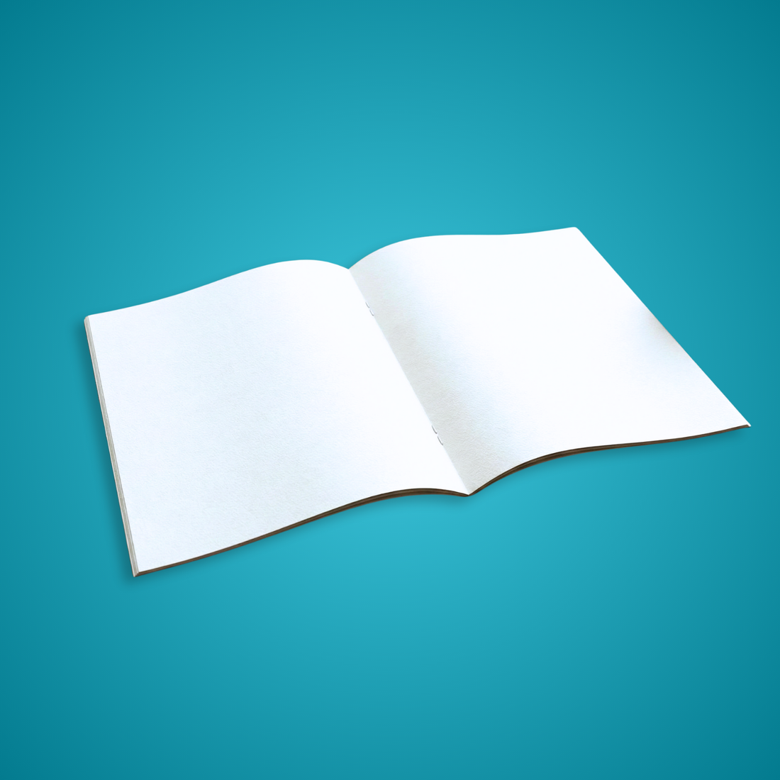 Blank Comic Book (Standard Comic Size)